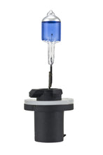 Cargar imagen en el visor de la galería, Hella Bulb 880 12V 32W Xen Wht Xb (2)