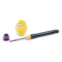 Carica l'immagine nel visualizzatore di Gallery, User 3