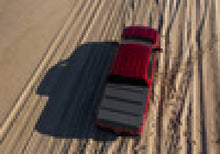Load image into Gallery viewer, Photo - Mounted