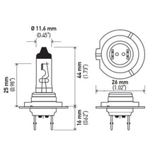 Cargar imagen en el visor de la galería, Technical Drawing