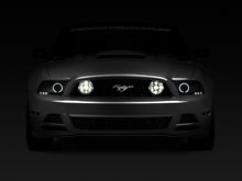 Charger l'image dans la galerie, Photo - Close Up