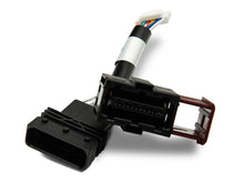 Charger l'image dans la galerie, Photo - Close Up