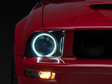 Charger l'image dans la galerie, Photo - Primary