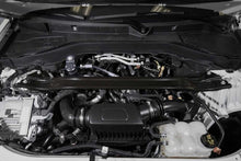 Charger l'image dans la galerie, Photo - Mounted