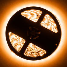 Cargar imagen en el visor de la galería, User 1