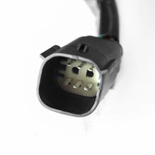 Charger l'image dans la galerie, User 3