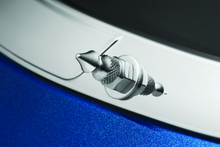 Laden Sie das Bild in den Galerie-Viewer, Photo - Primary