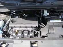 Carica l'immagine nel visualizzatore di Gallery, Photo - Mounted