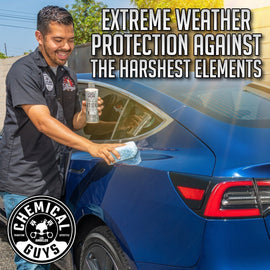 Chemical Guys JetSeal Sealant & Paint Protectant for vehicles - 16oz