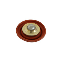 Laden Sie das Bild in den Galerie-Viewer, Photo - out of package