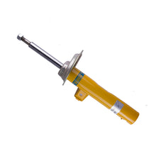 Laden Sie das Bild in den Galerie-Viewer, Photo - Primary