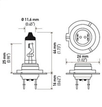 Cargar imagen en el visor de la galería, Technical Drawing
