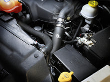 Carica l&#39;immagine nel visualizzatore di Gallery, Photo - Mounted