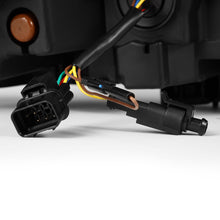 Charger l'image dans la galerie, User 5