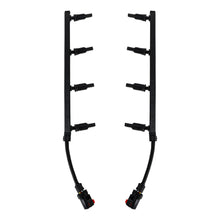 Laden Sie das Bild in den Galerie-Viewer, Photo - Primary