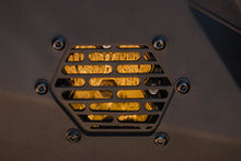 Laden Sie das Bild in den Galerie-Viewer, Photo - Close Up