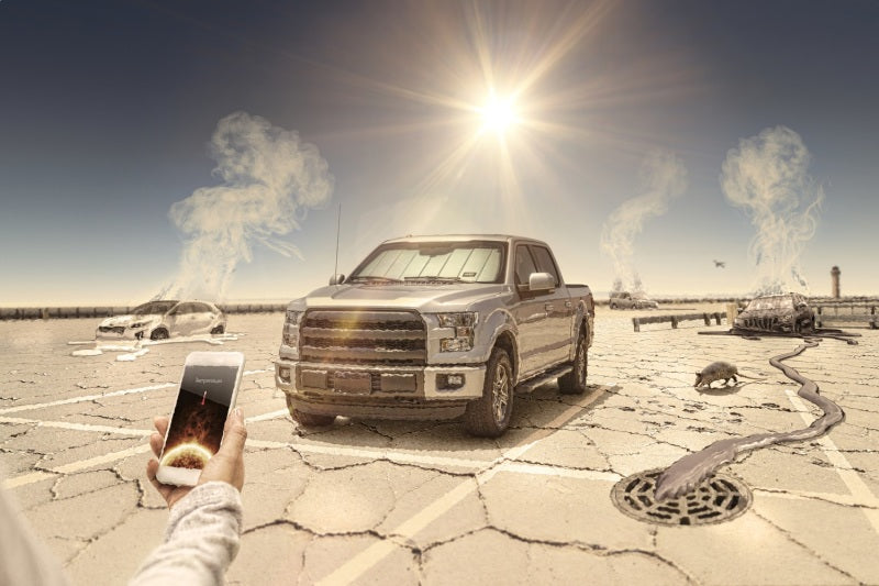 Photo - Mounted img 3