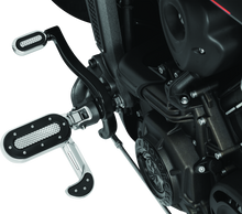 गैलरी व्यूवर में इमेज लोड करें, User 1