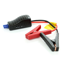 Charger l'image dans la galerie, Photo - Primary