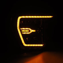 Charger l'image dans la galerie, User 3