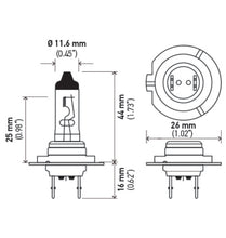 Cargar imagen en el visor de la galería, Technical Drawing