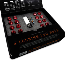 Carica l'immagine nel visualizzatore di Gallery, User 1