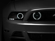 Charger l'image dans la galerie, Photo - Primary