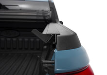 गैलरी व्यूवर में इमेज लोड करें, Photo - Close Up