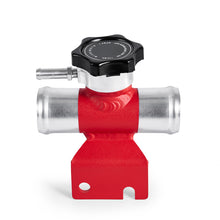 Laden Sie das Bild in den Galerie-Viewer, Photo - Primary