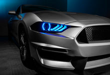 Cargar imagen en el visor de la galería, Photo - lifestyle view