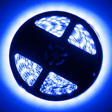 Cargar imagen en el visor de la galería, User 1
