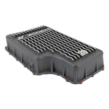 Carica l'immagine nel visualizzatore di Gallery, Photo - Primary