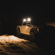 Cargar imagen en el visor de la galería, User 1