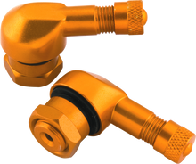 Laden Sie das Bild in den Galerie-Viewer, Photo - Primary