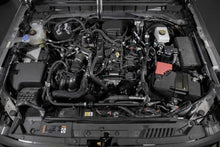 Cargar imagen en el visor de la galería, Photo - Mounted