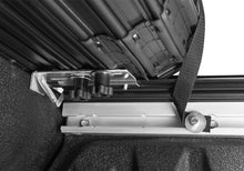 Laden Sie das Bild in den Galerie-Viewer, Photo - Close Up