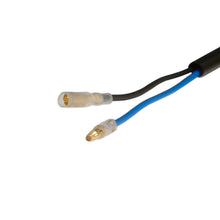 Laden Sie das Bild in den Galerie-Viewer, User 1