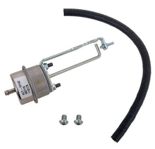 Laden Sie das Bild in den Galerie-Viewer, Photo - Primary