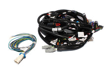 Charger l'image dans la galerie, Photo - Primary