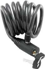 Charger l'image dans la galerie, Photo - Primary