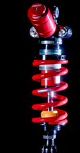 Charger l'image dans la galerie, Photo - Primary
