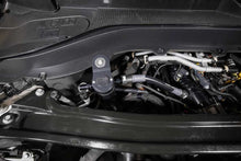 Charger l'image dans la galerie, Photo - Mounted