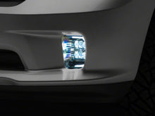 Carica l'immagine nel visualizzatore di Gallery, Photo - Close Up