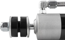 Carica l'immagine nel visualizzatore di Gallery, Photo - Unmounted