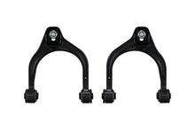 Laden Sie das Bild in den Galerie-Viewer, Photo - Primary