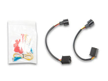 Charger l'image dans la galerie, User 1