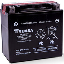 Charger l'image dans la galerie, User 1