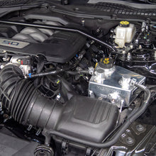 गैलरी व्यूवर में इमेज लोड करें, User 1