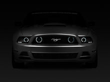 Charger l'image dans la galerie, Photo - Close Up