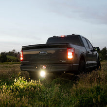 गैलरी व्यूवर में इमेज लोड करें, User 1